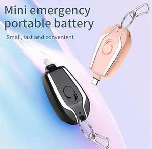 Mini Power Emergency Pod Keychain Charger With Type-C and iPhone Port